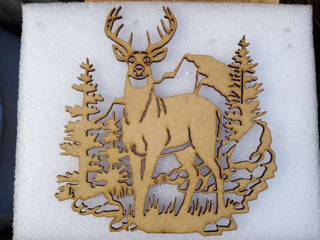 deer